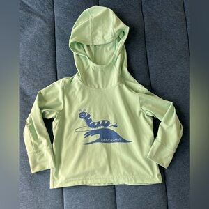 Patagonia Mint Green Hoodie with Caterpillar Graphic